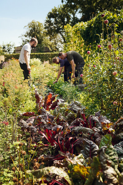 230912-Ernte-Schlossgarten-by-Kölln-120