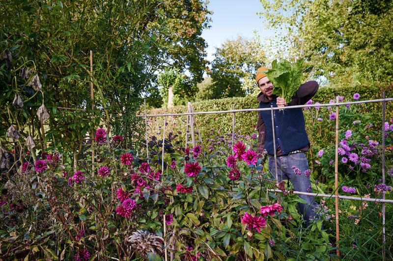 231018-Ernte-Schlossgarten-by-Kölln-28